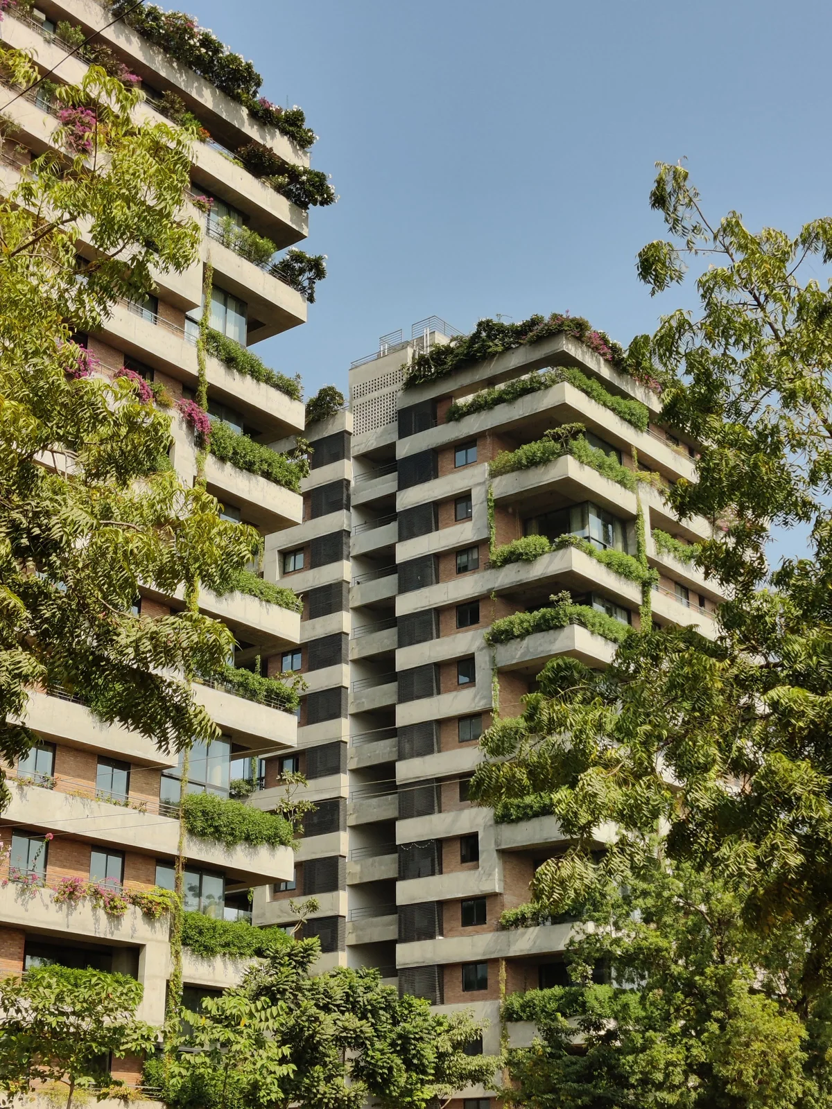 Two concrete apartment towers with deep planted balconies rise behind leafy neem trees against a clear blue sky.