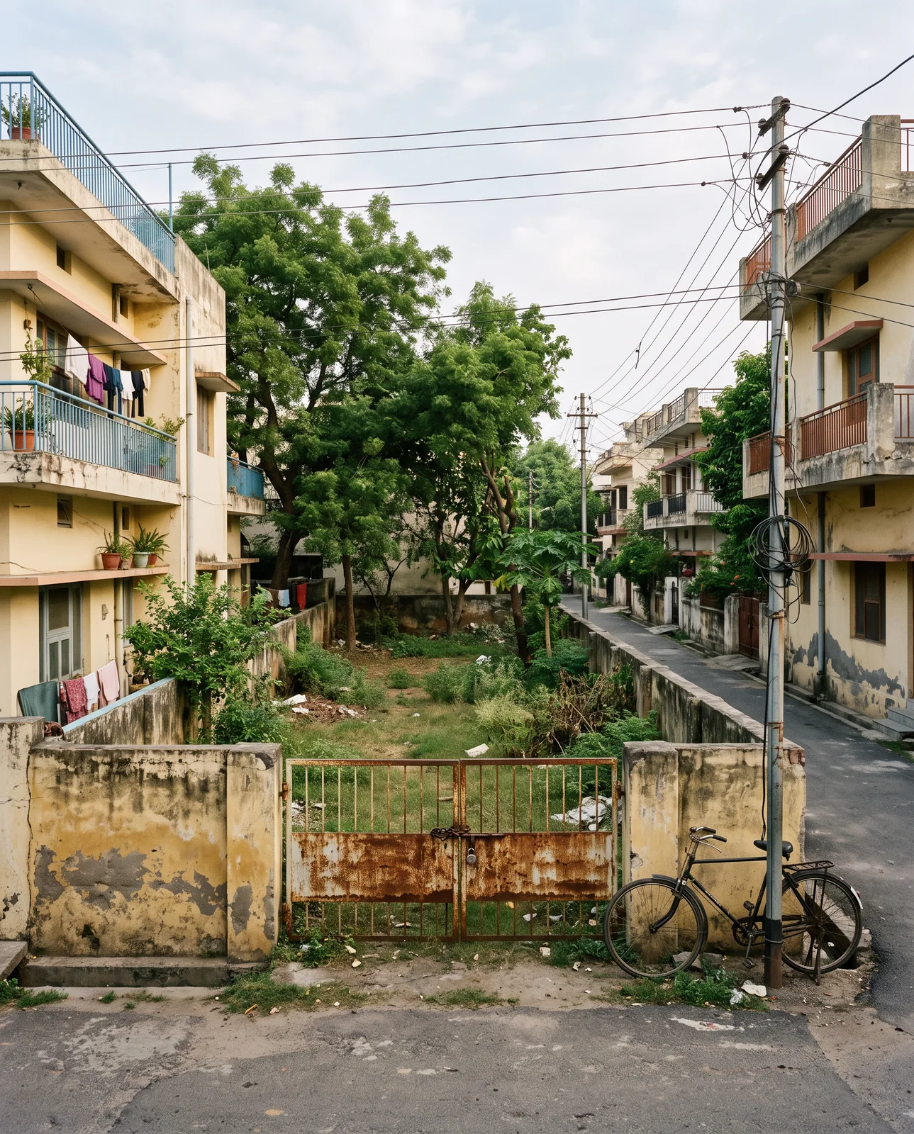 An overgrown empty plot behind a rusted iron gate, hemmed in by two-storey houses on an old colony street
