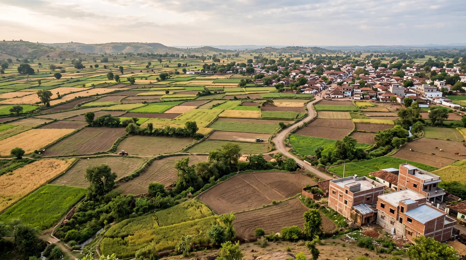 An elevated view over a patchwork of green, gold and brown fields divided by hedges, a winding dirt road leading to a village of tiled roofs.