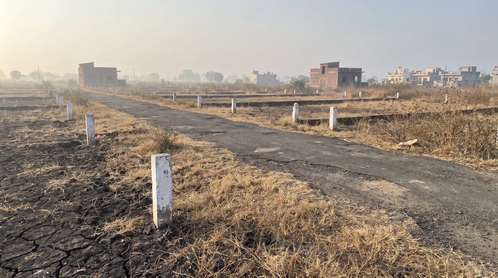 Rows of empty plots marked with white concrete posts along a worn tar road in morning haze, dry grass and dark soil, a few lone houses in the distance.