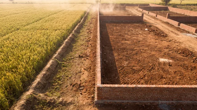 Seen from above, a standing wheat crop on one side of an earth bund and freshly walled brick plots on the other.